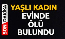 Yaşlı kadın evinde ölü bulundu