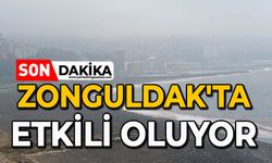 Zonguldak'ta etkili oluyor