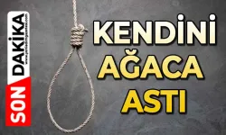 41 yaşındaki adam kendini ağaca astı