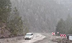 Yüksek kesimlerinde kar yağışı yeniden başladı