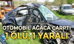 Otomobil ağaca çarptı: 1 ölü, 1 yaralı