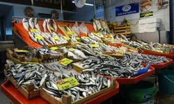 Balık tezgahları kış aylarını aratmıyor