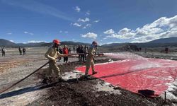 Bolu en hızlı ormancılarını seçiyor