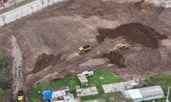 Bu parkta 15 bin gül açacak