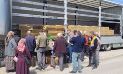 Çiftçilere 147 bin adet sebze fidesi dağıtıldı