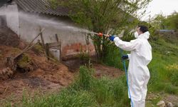 Daha uçmadan bitirmek için mücadele başladı