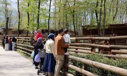 Doğaseverlerin uğrak noktası Ormanya bahara 'merhaba' dedi
