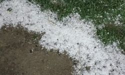 Dolu yeşil alanları beyaza bürüdü