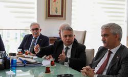 Ekonomik potansiyeli değerlendirilecek