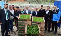 İşlenmeyen araziler üretime dönüyor