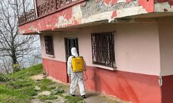 Kahverengi kokarcayla mücadele sürüyor