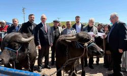 Manda yetiştiricilerine 3,4 milyon liralık destek