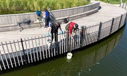 Millet Bahçesi göletinde bilimsel iyileştirme çalışması başladı