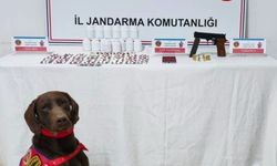 Uyuşturucu operasyonu: 1 tutuklama