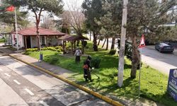Yeşil alanlarda bakım ve temizlik çalışmaları sürüyor