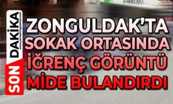 Zonguldak'ta sokakta iğrenç görüntüler mide bulandırdı!