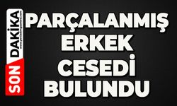 Parçalanmış erkeğin cansız bedeni bulundu