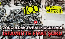 Zonguldak’ta balık ucuzladı: İstavritte fiyat şoku