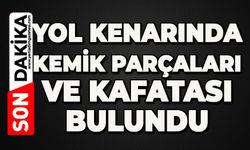 Yol kenarında kemik parçaları ve kafatası bulundu