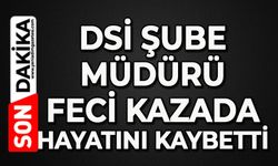 DSİ Şube Müdürü ve şoförü feci kazada hayatını kaybetti