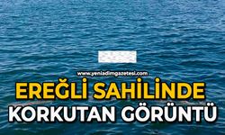 Ereğli sahilinde korkutan görüntü