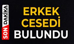 Park halindeki araçta erkek cesedi bulundu