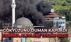 Gökyüzünü duman kapladı: Plastik fabrikası alevlere teslim oldu