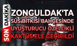 Zonguldak'ta süs bitkisi bahçesinde uyuşturucu özellikli kaktüs ele geçirildi