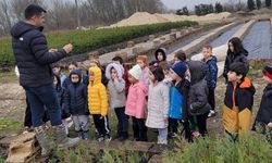 Minik eller büyük ormanlar oluşturmak için çalıştı