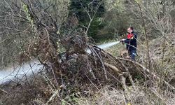 Ormanlık alanda çıkan yangın büyümeden söndürüldü
