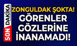 Zonguldak şokta: Görenler gözlerine inanamadı!