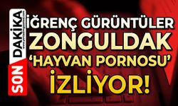 İğrenç görüntüler utandırdı: Zonguldak ‘Hayvan Pornosu’ izliyor!