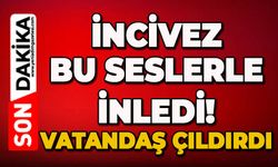 İncivez bu seslerle inledi!: Vatandaş çıldırdı!