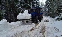 Karla kaplanan yayla yollarını köylüler açtı