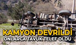 Kamyon devrildi: Onlarca tavuk telef oldu