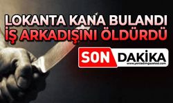 Lokanta kana bulandı: İş arkadaşını öldürdü
