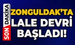 Zonguldak’ta lale devri başladı!