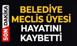 Belediye meclis üyesi feci kazada hayatını kaybetti