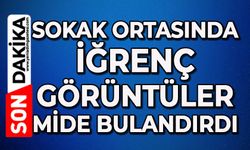 Sokak ortasında iğrenç görüntüler mide bulandırdı