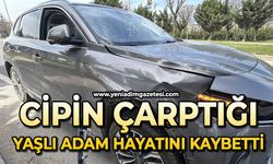 Cipin çarptığı yaşlı adam hayatını kaybetti