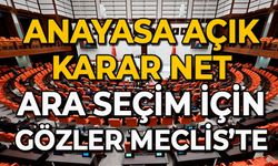 Anayasa açık, karar net: Ara seçim için gözler Meclis’te