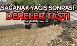 Sağanak yağış sonrası dereler taştı