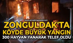 Zonguldak'ta köyde büyük yangın: 300 hayvan yanarak telef oldu