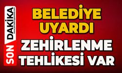 Belediye uyardı: Zehirlenme tehlikesi var