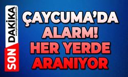 Çaycuma’da firari kurbanlık alarmı!