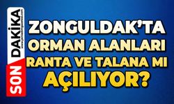 Zonguldak’ta orman alanları ranta ve talana mı açılıyor?