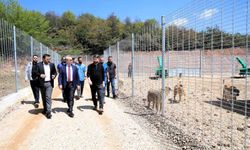 650 köpek kapasiteli yeni barınak hizmete alındı
