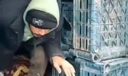 7 düzensiz göçmen yakalandı