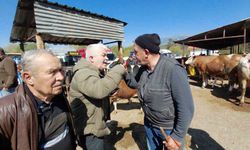 704 kiloluk dana için dakikalarca pazarlık yaptılar
