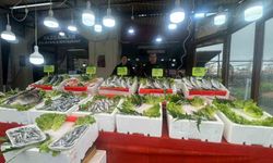 Balıkçı tezgahlarında çeşit bitti: Mezgit fiyatı 500 liraya çıktı